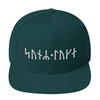 Son of Loki Norse Runes Snapback HatSpruce