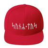 Son of Tyr Norse Runes Snapback HatRed